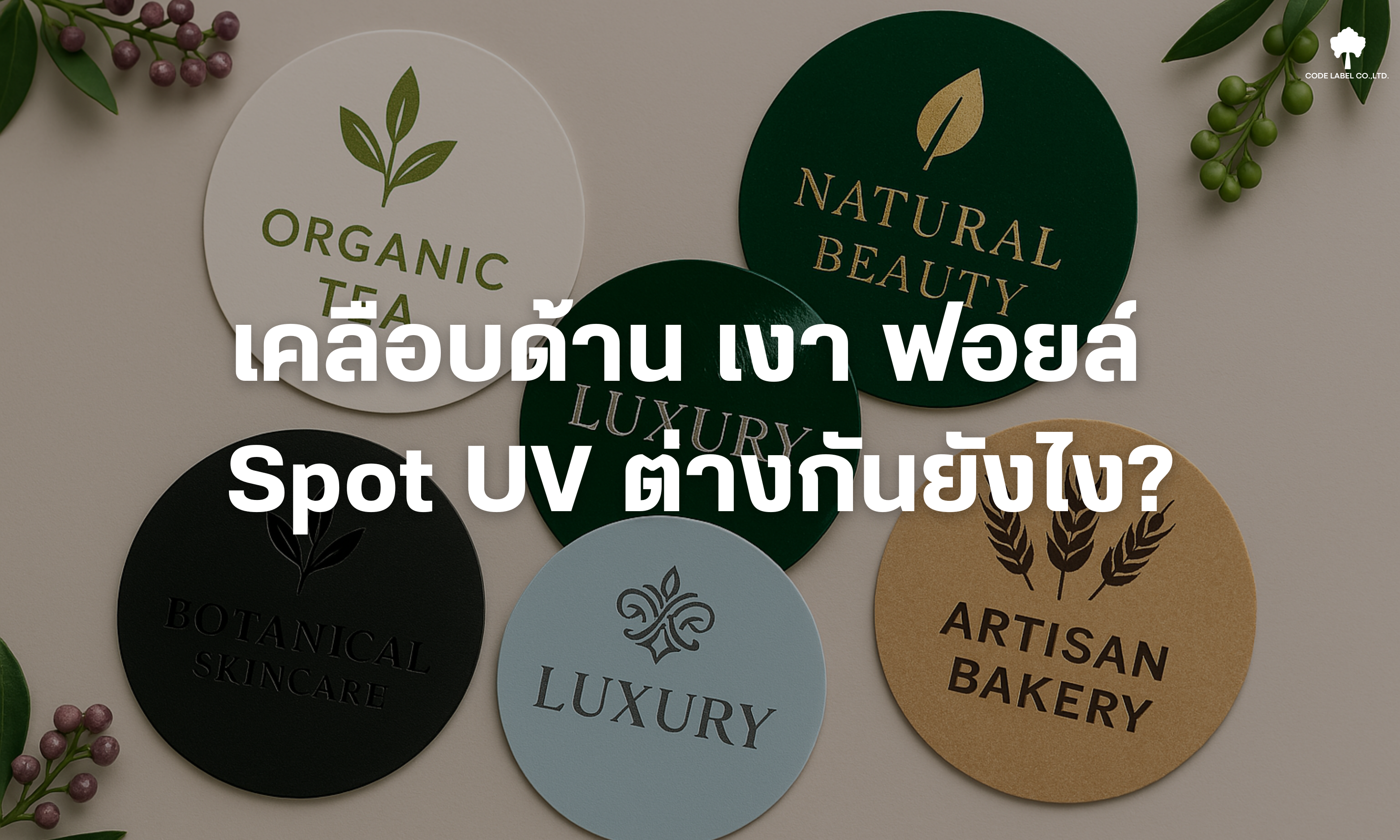 เลือกเคลือบแบบไหนดี? เคลือบด้าน เคลือบเงา ฟอยล์ Spot UV แบบไหนเหมาะกับแบรนด์คุณ